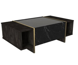 Hanah Home Veyron Mesa de Centro Negro y Dorado
